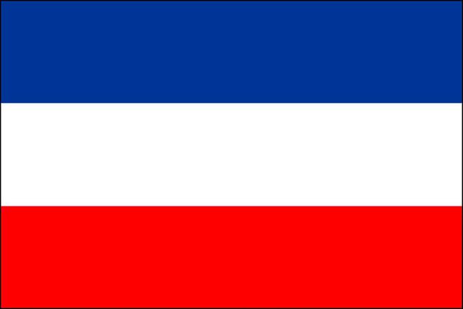 塞尔维亚与冰岛对决，最终平分秋色的简单介绍